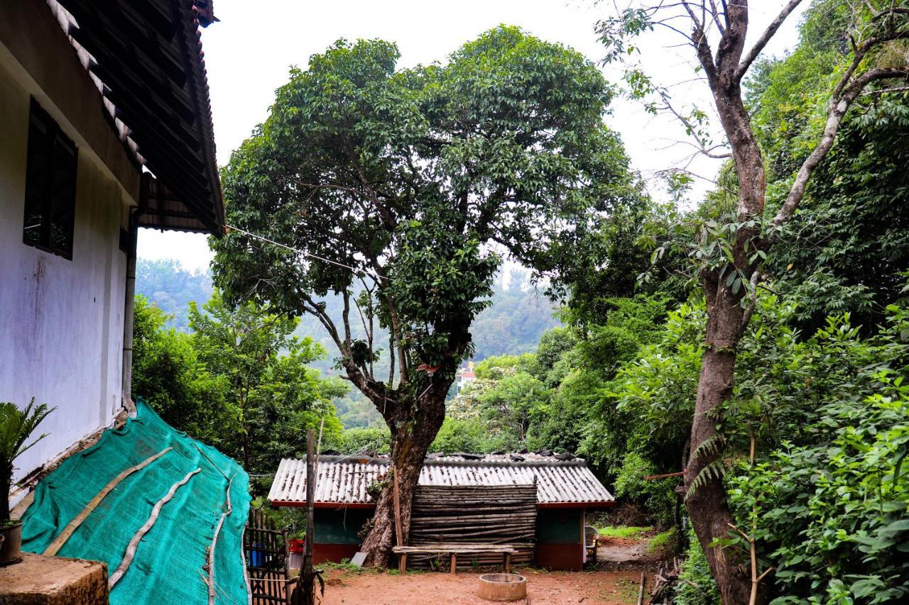 Coorg Nature Breeze Home Stay Madikeri Eksteriør bilde