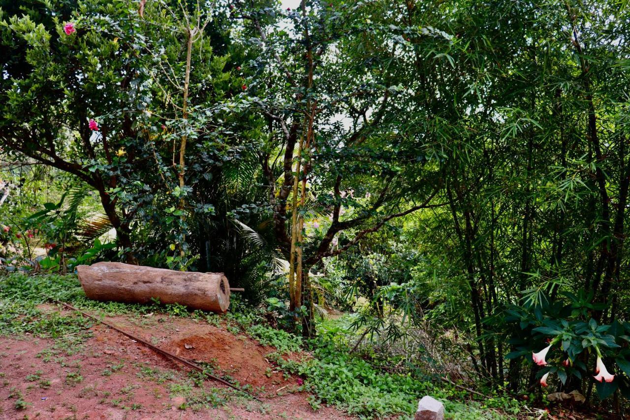 Coorg Nature Breeze Home Stay Madikeri Eksteriør bilde